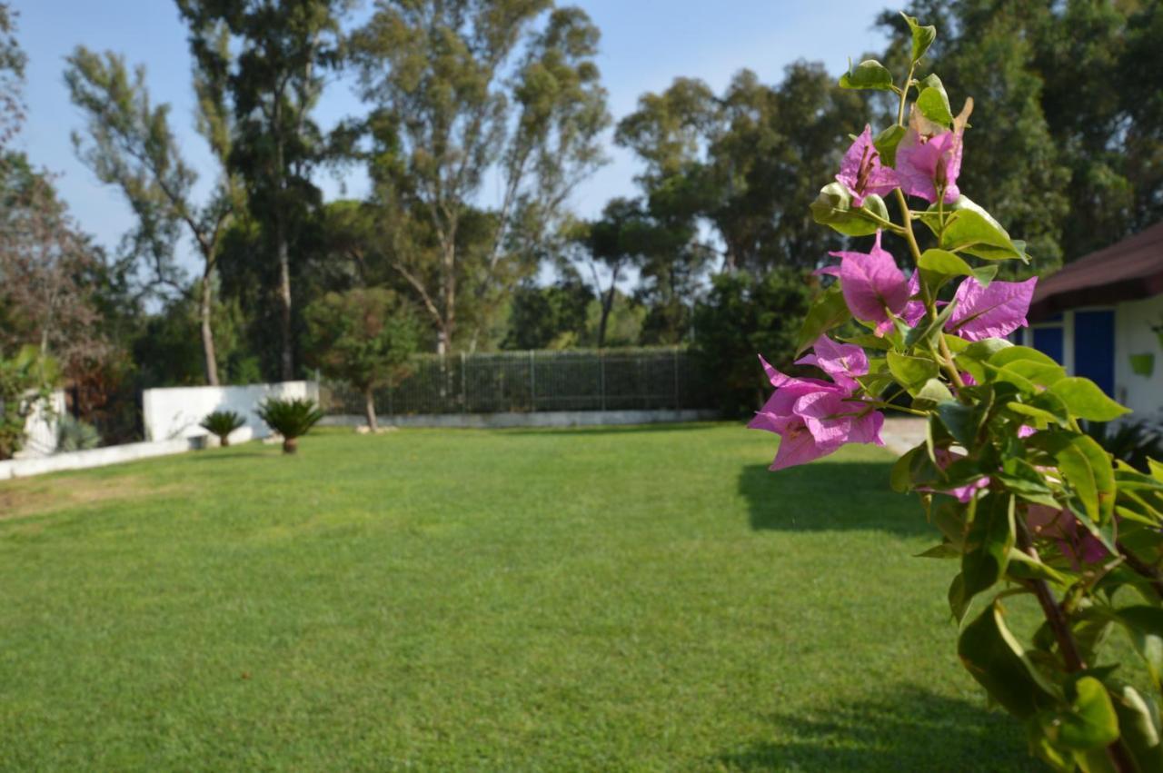 Casa Blanca B&B Latina Exteriör bild